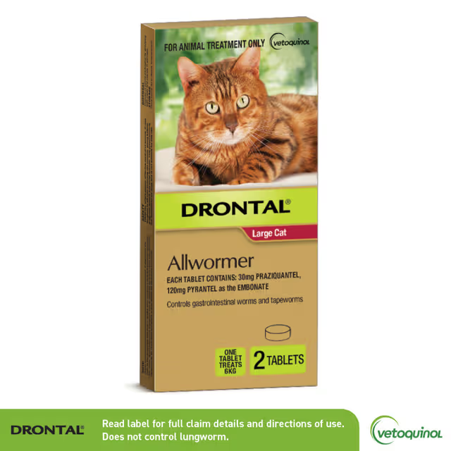 Drontal Allwormers For Large Cats 6KG 2PK