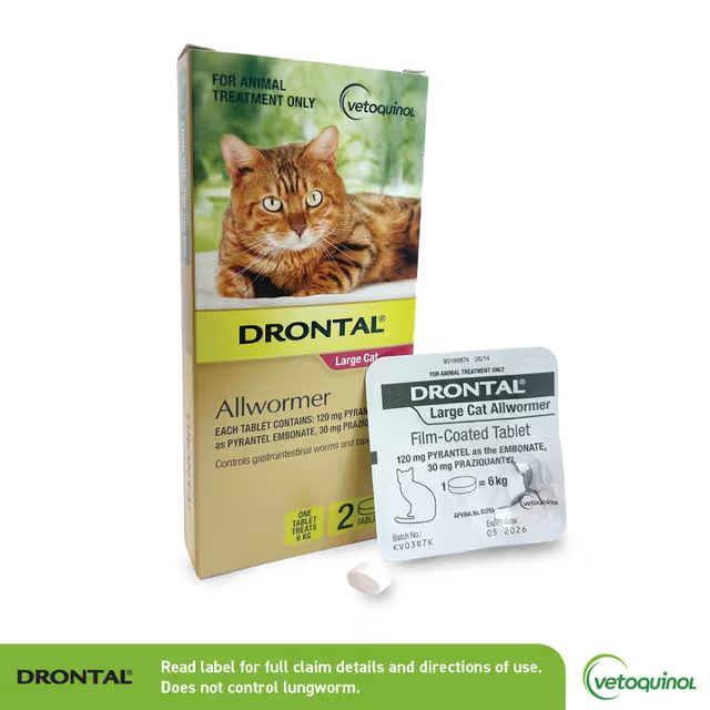 Drontal Allwormers For Large Cats 6KG 2PK