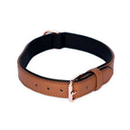 Zippypaws Leather Dog Collar - Brown Large