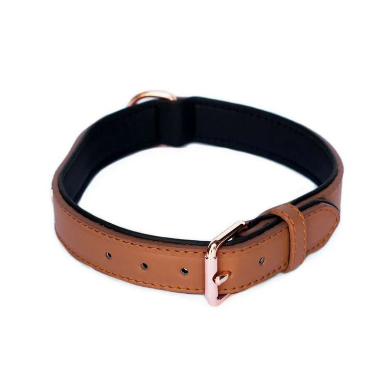 Zippypaws Leather Dog Collar - Brown Large