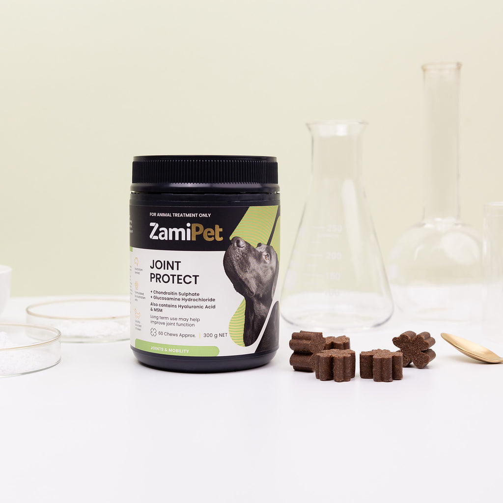 ZamiPet Joint Protect 30 Chews 150g