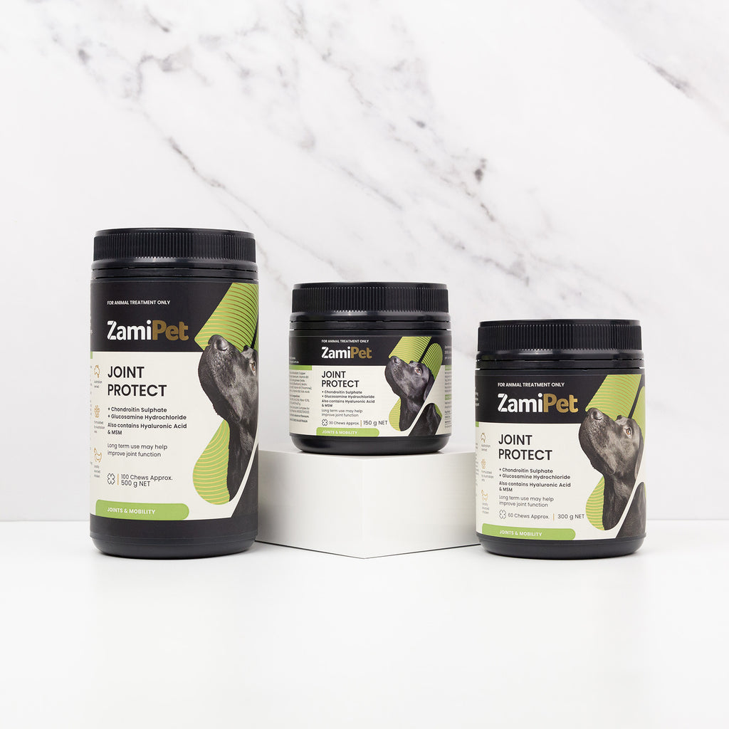 ZamiPet Joint Protect 60 Chews 300g