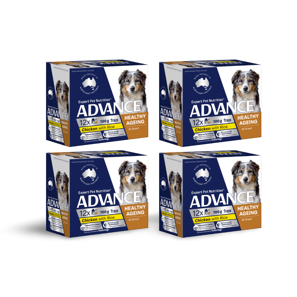 ADVANCE DOG ADULT HEALTHY AGE CHICKEN RICE 100G 12PK