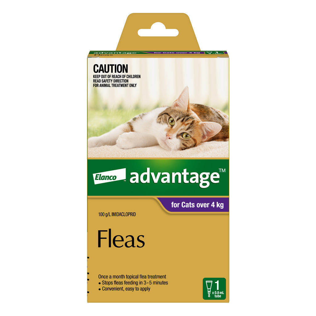Advantage Spot-on Flea Treatment for Cats over 4kg 1pk
