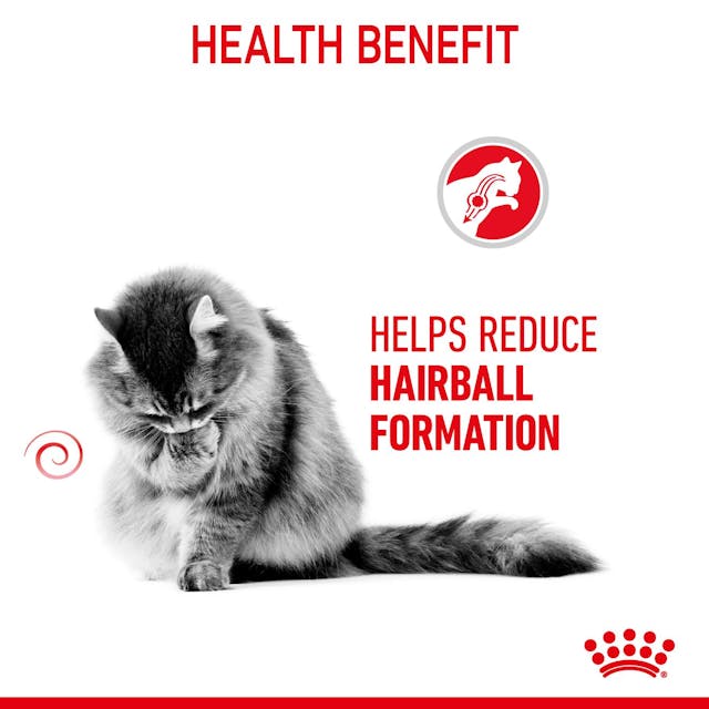 Royal Canin Adult Hairball Care Wet Cat Food Pouches in Jelly 12 x 85g