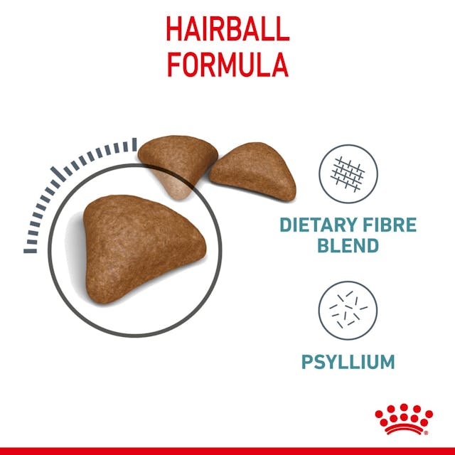 Royal Canin Hairball Care Adult Dry Cat Food 4kg