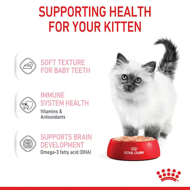 Royal Canin Kitten Wet Food in Loaf 12 x 85g