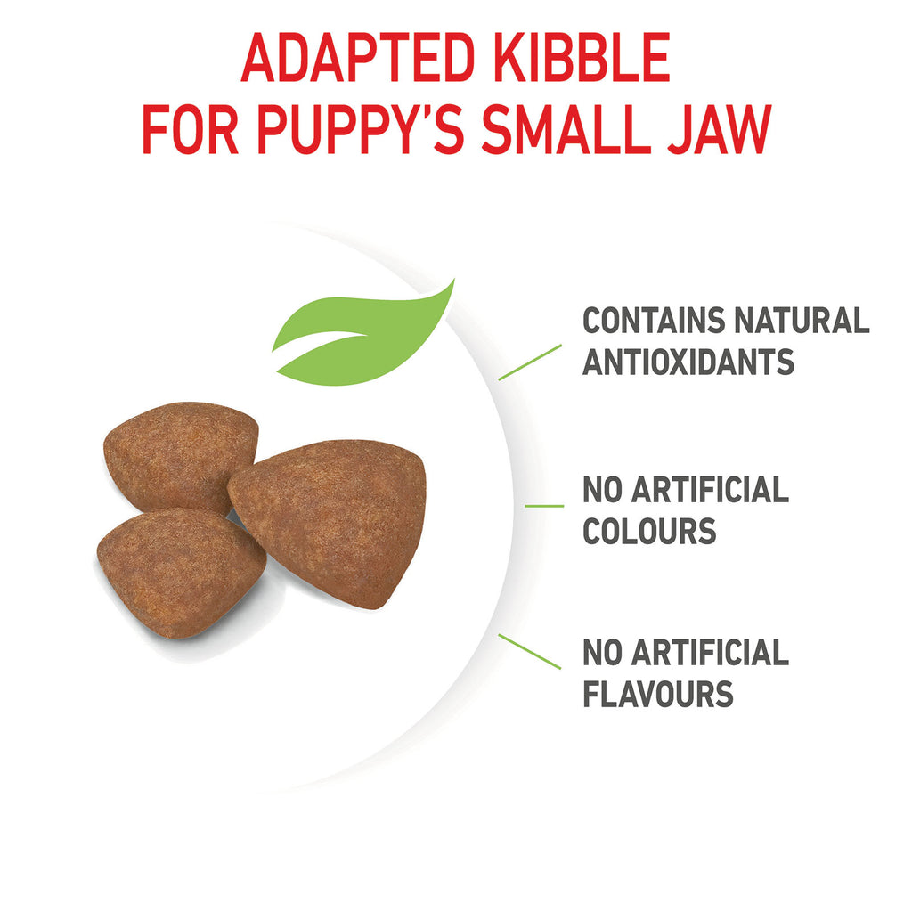 Royal Canin Mini Puppy Food 2kg