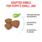 Royal Canin Mini Puppy Food 2kg