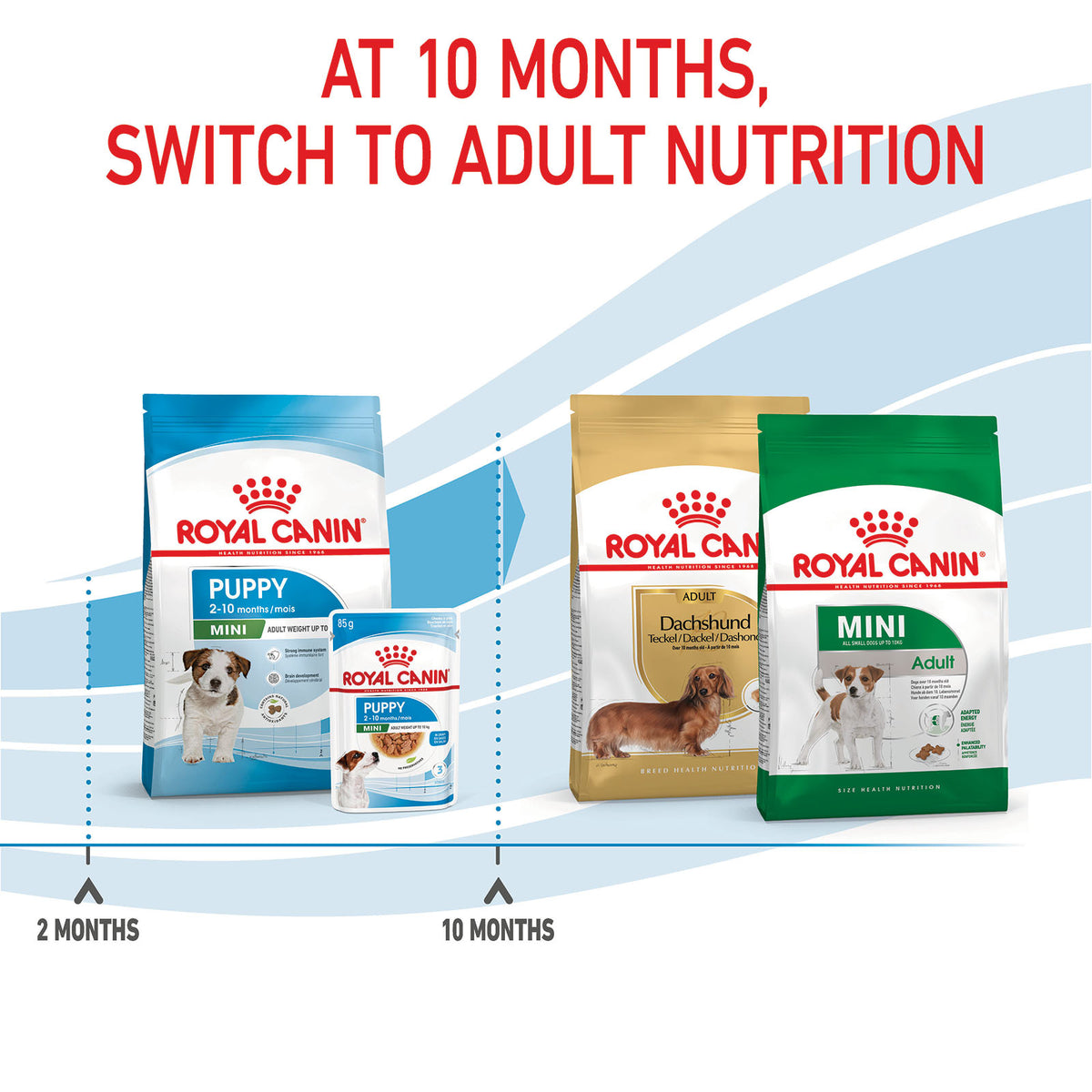 Royal Canin Mini Puppy Food 2kg