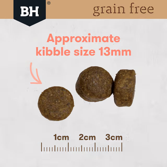 Black Hawk Grain Free Salmon Adult Dry Dog Food