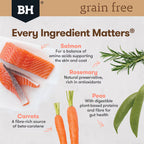 Black Hawk Grain Free Salmon Adult Dry Dog Food