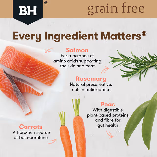 Black Hawk Grain Free Salmon Adult Dry Dog Food