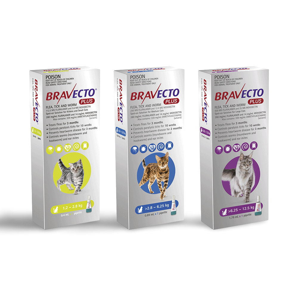 Bravecto Spot-On for Cats 2.8-6.25kg 1pk (2 pipettes)