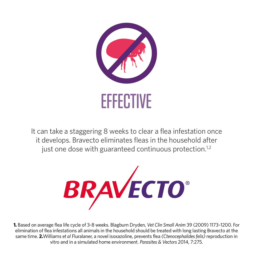 Bravecto Spot-On for Cats 1.2-2.8kg 1pk (2 pipettes)