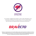 Bravecto Spot-On for Cats 1.2-2.8kg 1pk (2 pipettes)