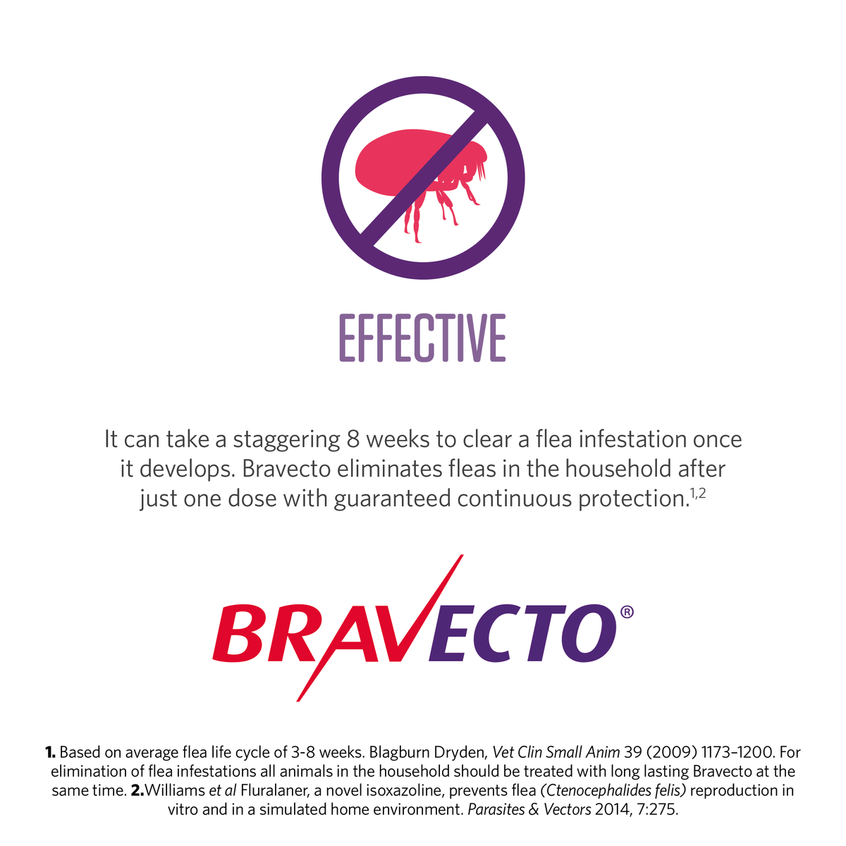 Bravecto Spot-On for Cats 1.2-2.8kg 1pk (2 pipettes)