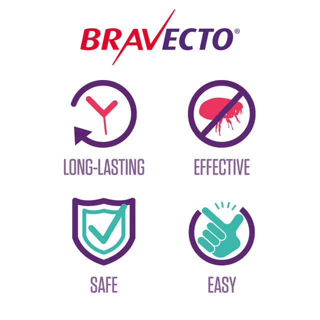 Bravecto Spot-On for Small Dogs 4.5-10kg 1pk