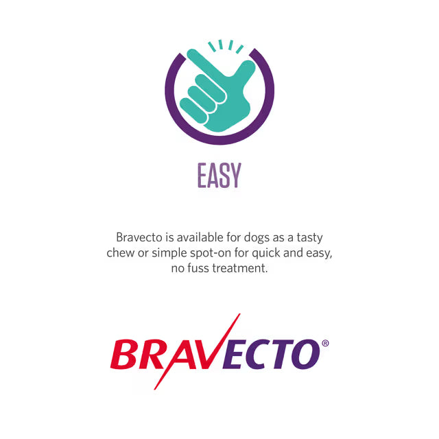 Bravecto Spot-On for Small Dogs 4.5-10kg 1pk