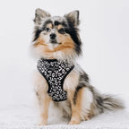 Cocopup London - Adjustable Neck Harness - Black Leopard - X-Small