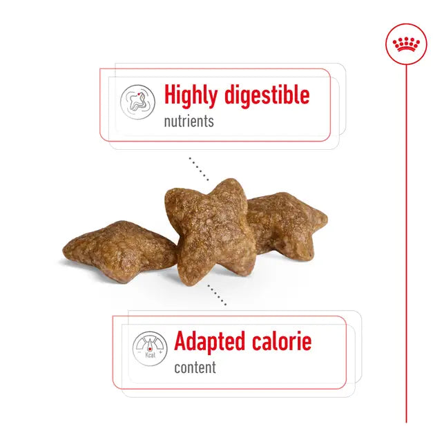 Royal Canin Mini Adult Dry Dog Food