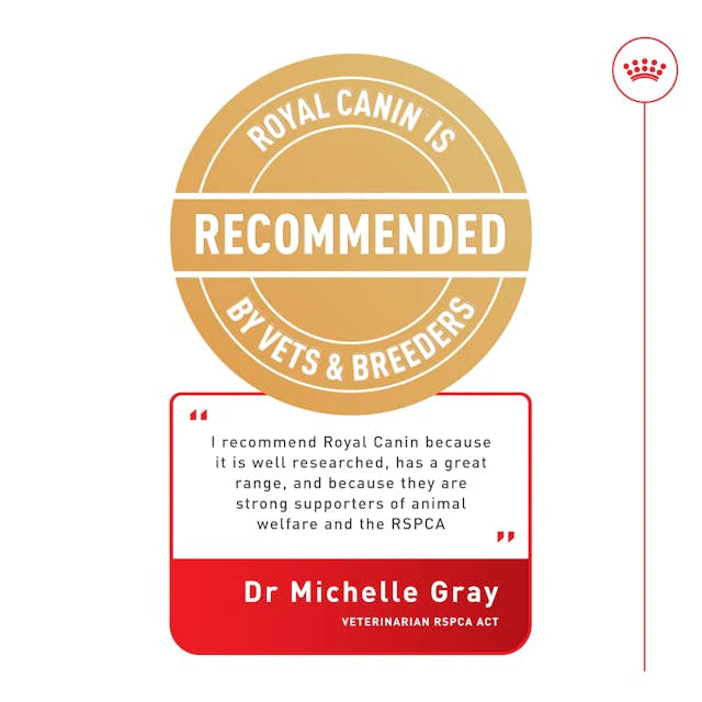 Royal Canin Maine Coon Adult Dry Cat Food