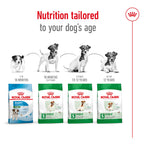 Royal Canin Mini Adult Dry Dog Food 2kg