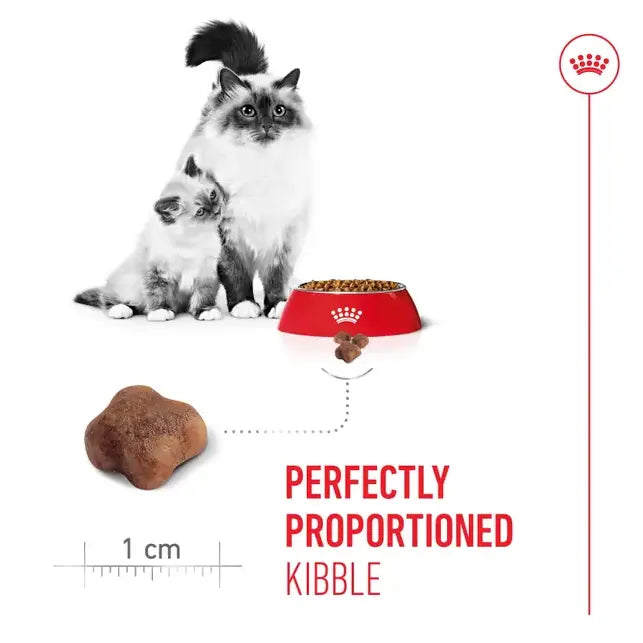 Royal Canin Mother And Babycat Dry Cat Food