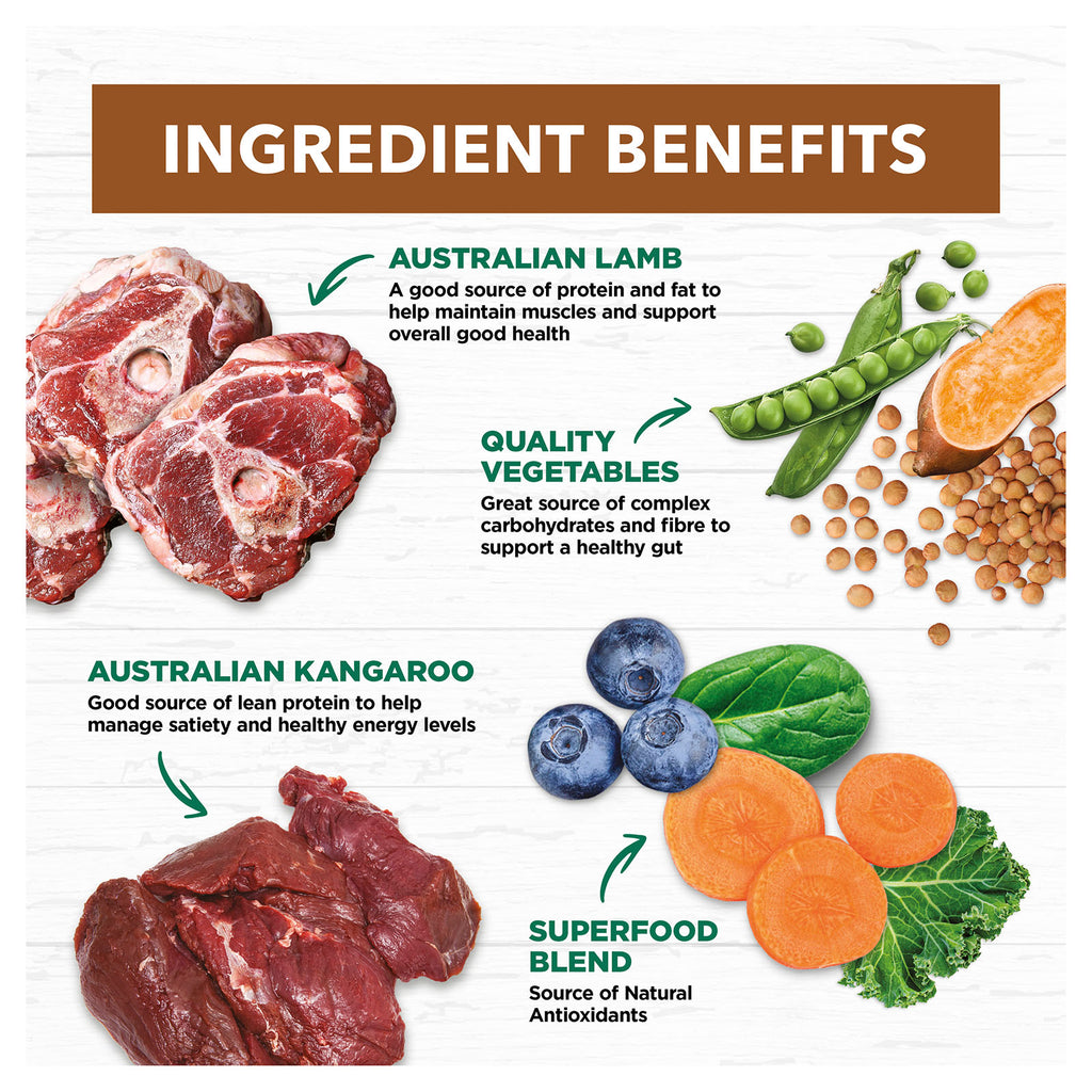 IVORY COAT LAMB & KANGAROO STEW 400G