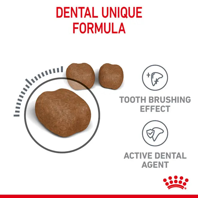 Royal Canin Dental Care Adult Dry Cat Food 3.5kg