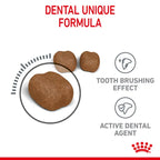 Royal Canin Dental Care Adult Dry Cat Food 3.5kg