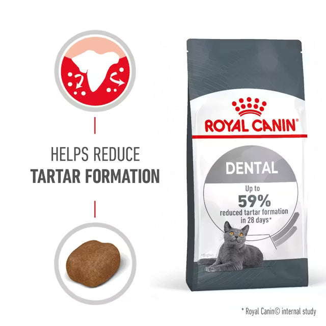 Royal Canin Dental Care Adult Dry Cat Food 3.5kg