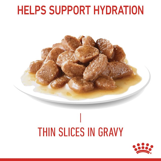 Royal Canin Adult Hairball Care Wet Cat Food Pouches in Gravy 12 x 85g
