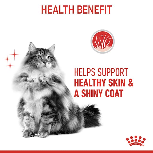 Royal Canin Hair & Skin in Gravy Cat Wet Food 12 x 85g