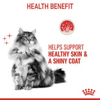 Royal Canin Hair & Skin in Gravy Cat Wet Food 12 x 85g
