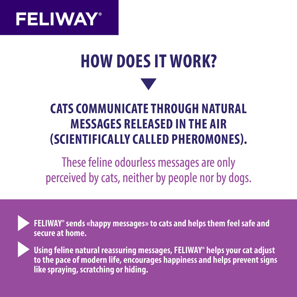 Feliway Refill 48ml 3 Pack