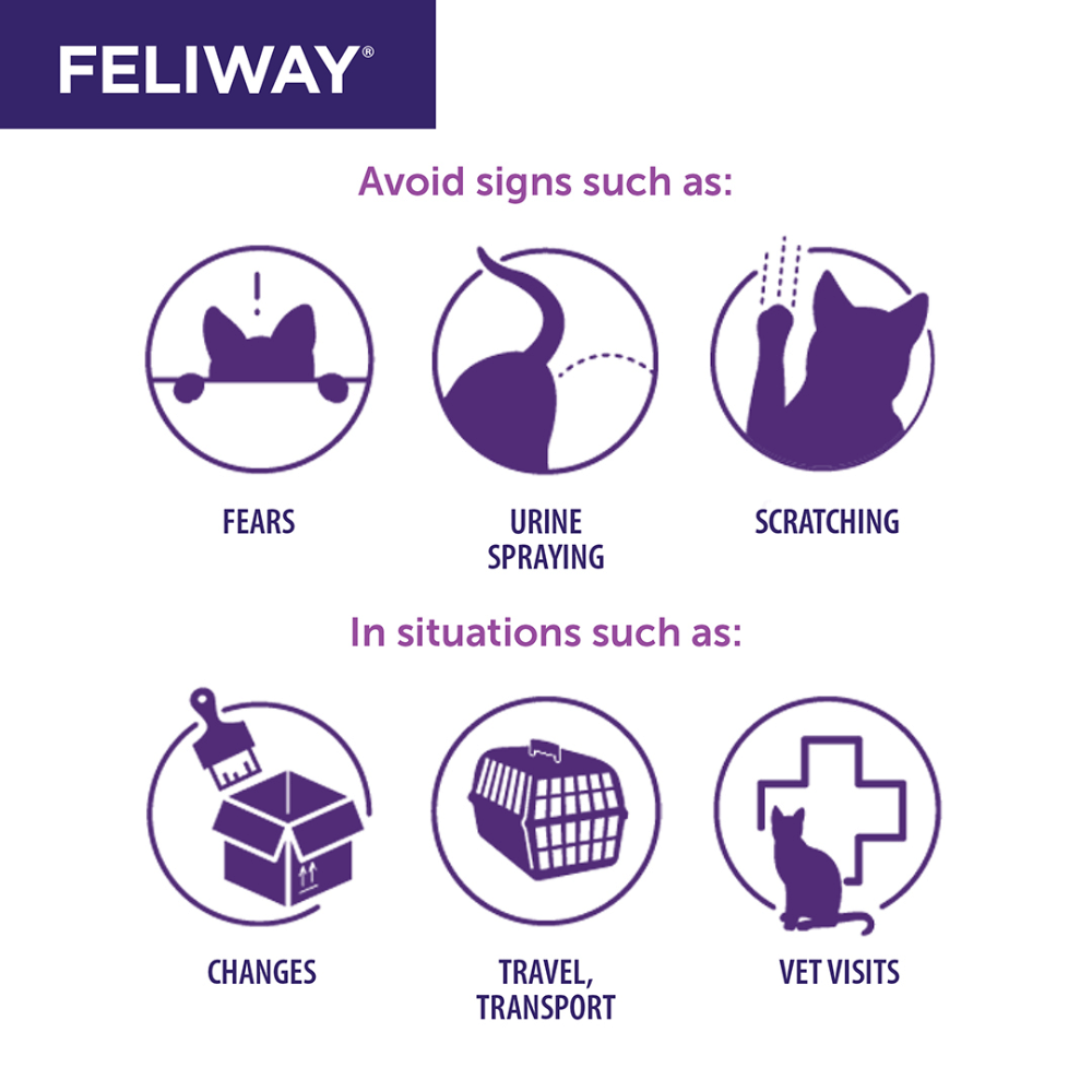 Feliway Refill 48ml 3 Pack