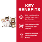 Hills Science Diet Kitten Dry Cat Food 4kg