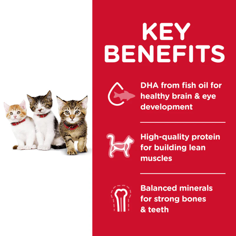 Hills Science Diet Kitten Dry Cat Food 4kg