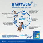 NexGard Spectra for Dogs 7.6 - 15kg