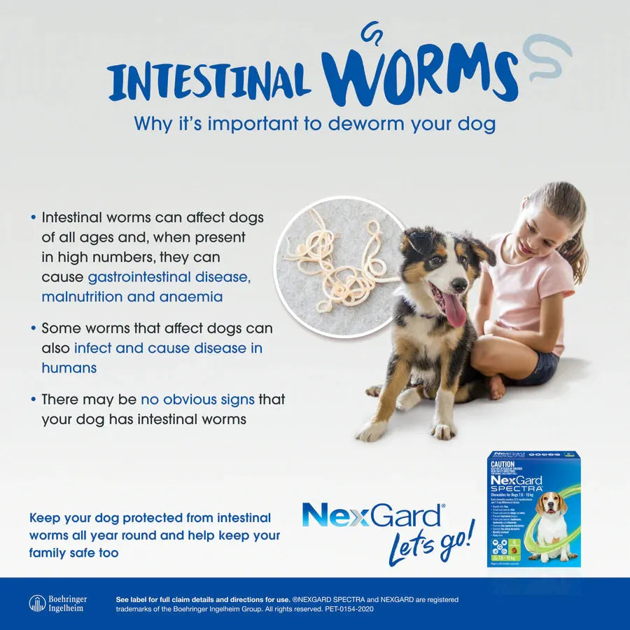 NEXGARD SPECTRA FOR DOGS 7.6-15KG M GREEN 3PK