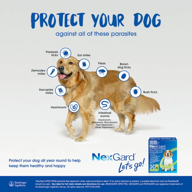 NEXGARD SPECTRA FOR DOGS 7.6-15KG M GREEN 3PK
