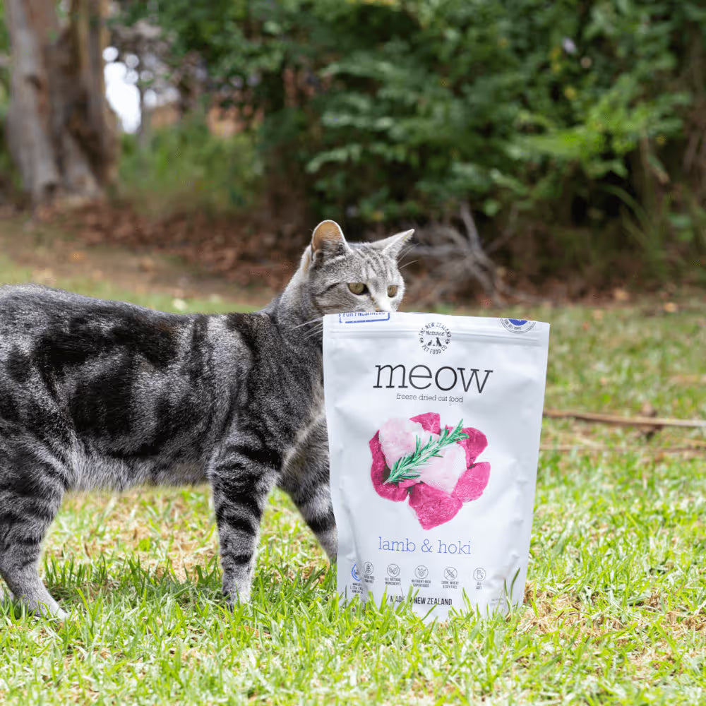 Meow Freeze Dried Cat Food Lamb & Hoki 280gm
