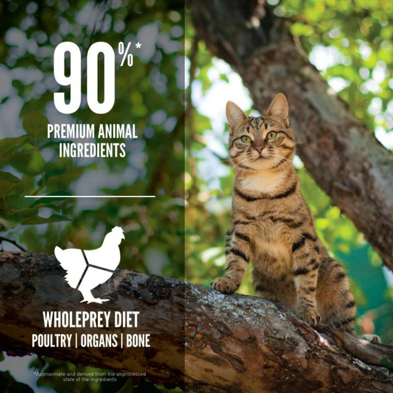 ORIJEN Guardian 8 Cat Dry Food 1.8kg
