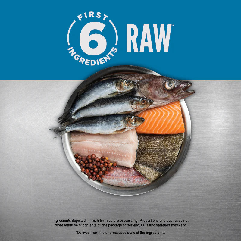 ORIJEN Six Fish Recipe Cat Dry Food 1.8kg