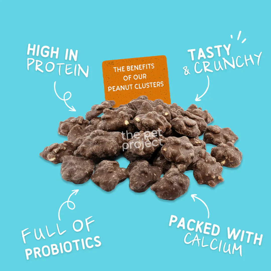The Pet Project Peanut Clusters Dog Treats 200g