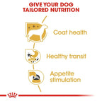 Royal Canin Chihuahua Adult Wet Dog Food