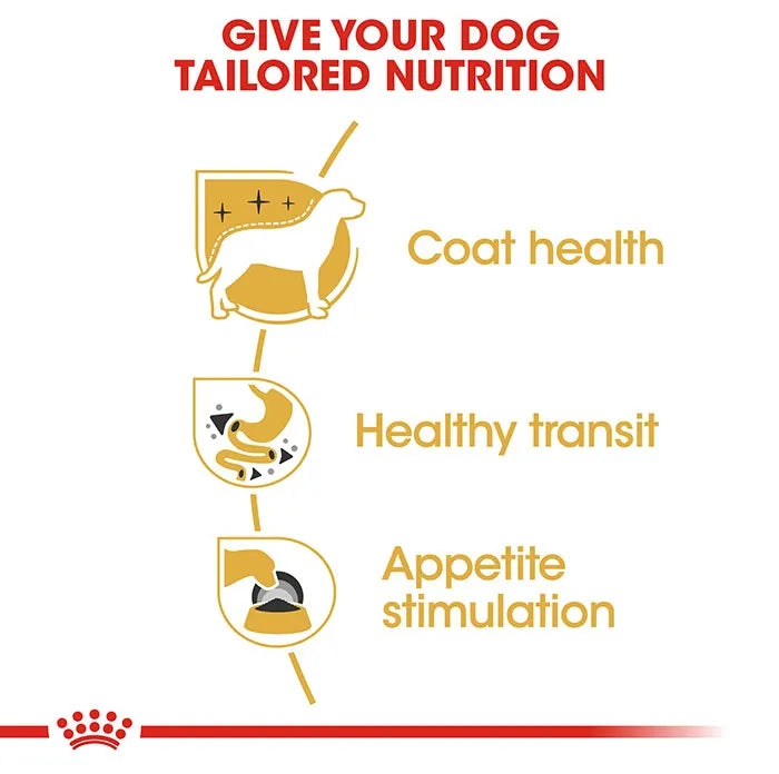 Royal Canin Chihuahua Adult Wet Dog Food