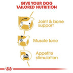 ROYAL CANIN Dachshund Breed Adult Wet Dog Food Pouches