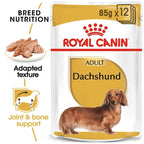 ROYAL CANIN Dachshund Breed Adult Wet Dog Food Pouches